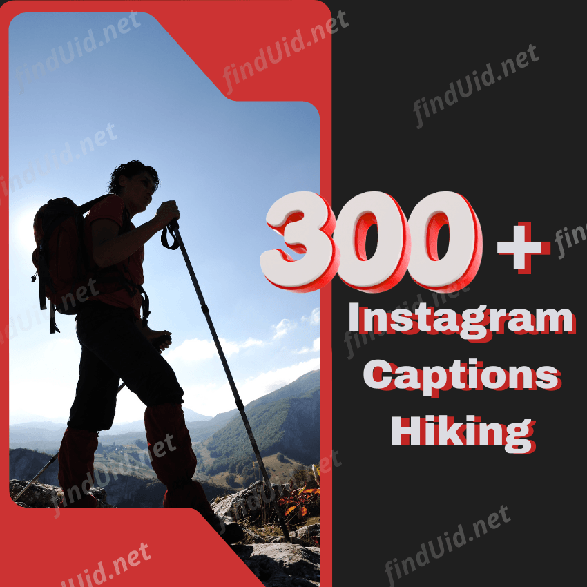 300+ Instagram Captions Hiking