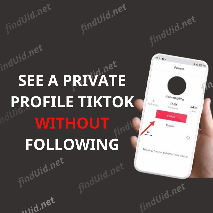 How to See a Private Tiktok Account without Following?