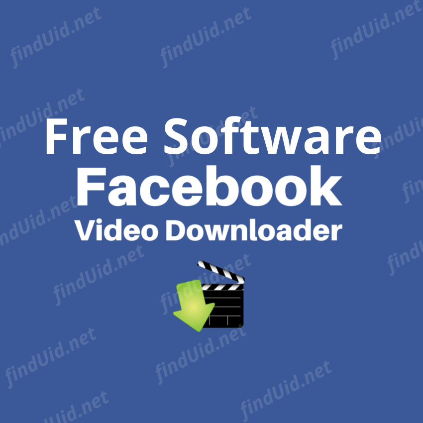 Top 3 free facebook video downloader software in 2024