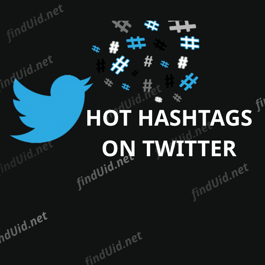 Top 45+ hot twitter hashtags go viral in 2024