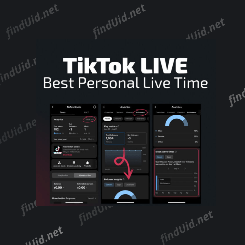 What is the best time to go live on Tiktok?